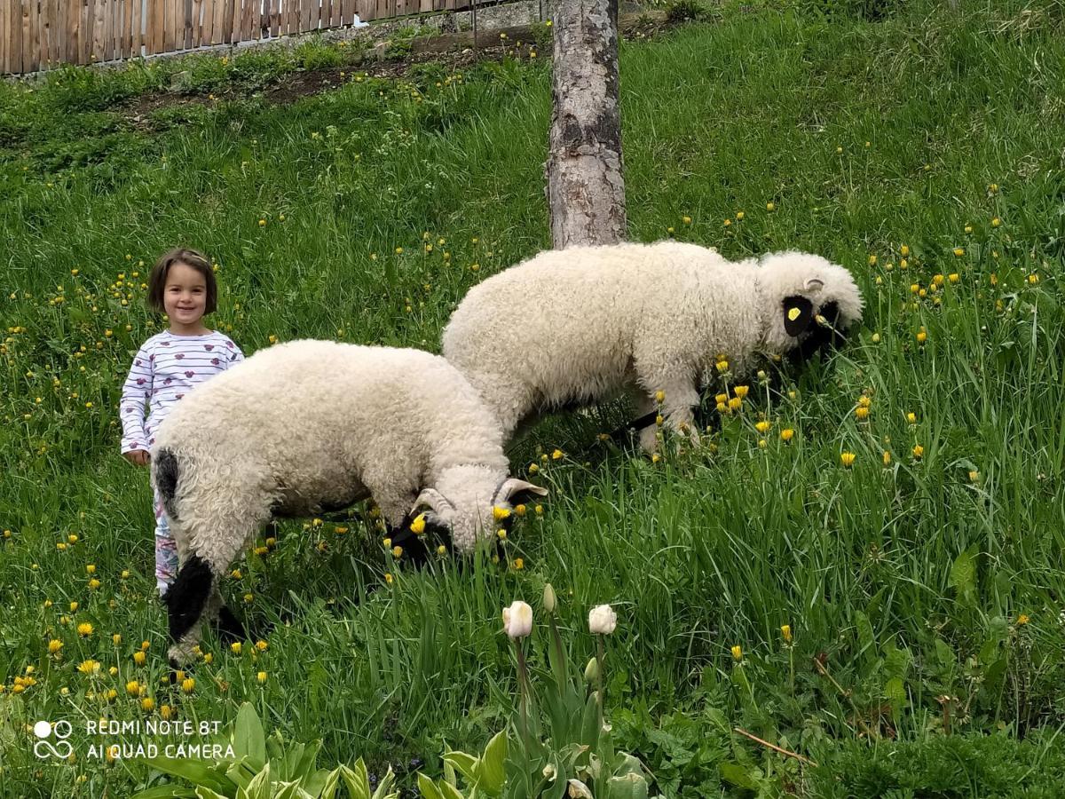 Agriturismo Luech Picedac La Valle Exteriér fotografie