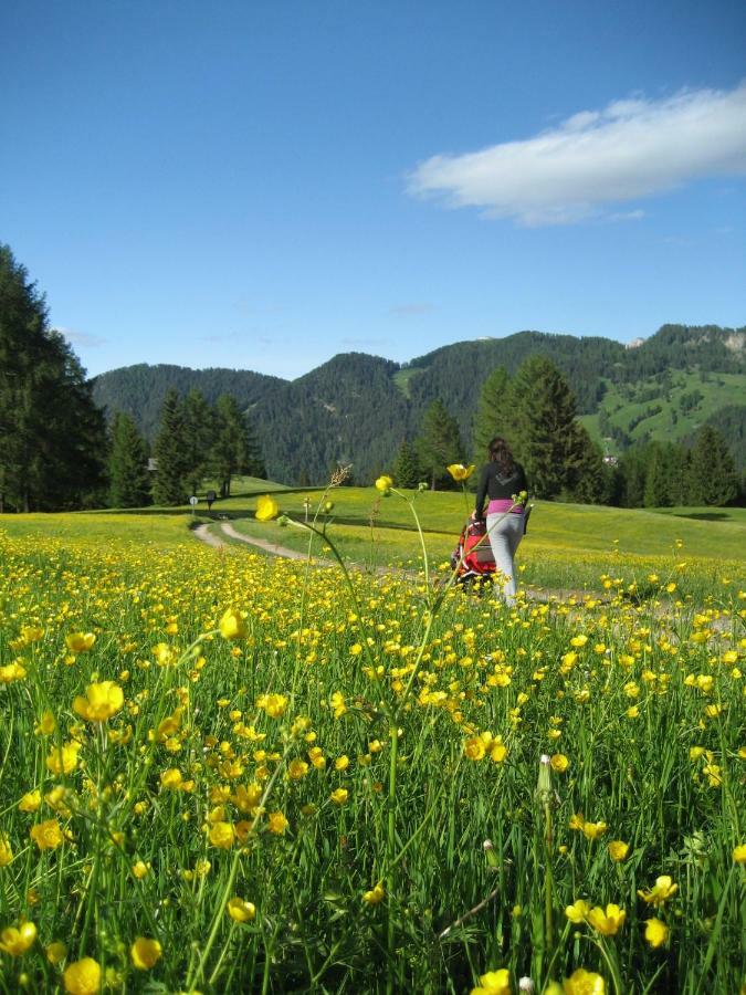 Agriturismo Luech Picedac La Valle Exteriér fotografie
